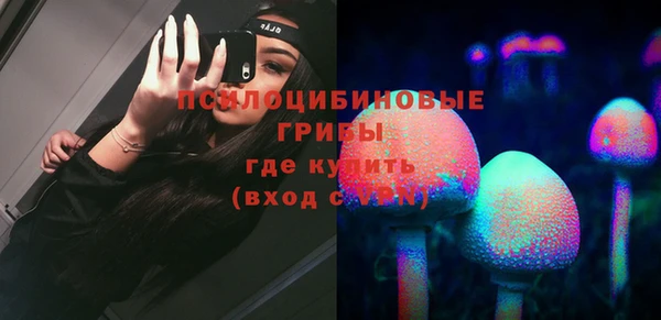 крисы Алексин