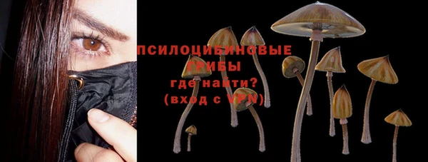 крисы Алексин