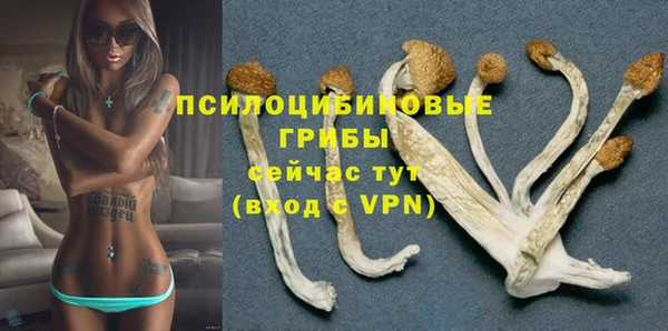 стафф Алексеевка
