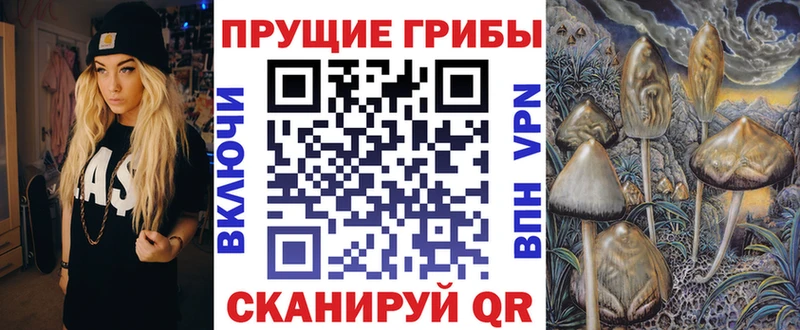 Галлюциногенные грибы GOLDEN TEACHER Змеиногорск