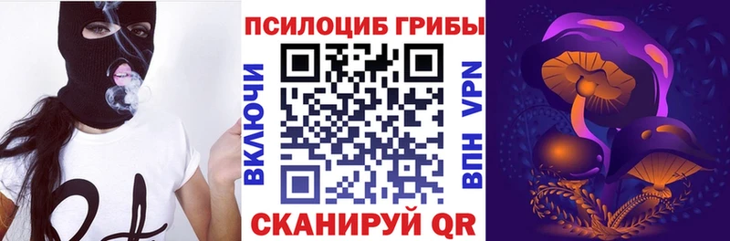 где продают наркотики  ОМГ ОМГ tor  Псилоцибиновые грибы мухоморы  Змеиногорск 